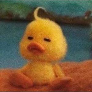 Meet your Posher, Kenya